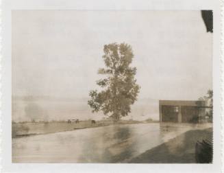 Black and white image of a tree during a storm, roadway in the center of the image leading to s…