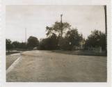 Black and white image of downed tree after a storm, car is visible on left side of street and a…