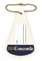 One side of triangular luggage tag with a brass ball chain with area to enscribe name and conta…