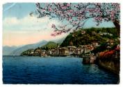 Postcard with color drawing of Lake Como with a cherry blossom tree