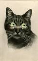 Postcard of a black cat with three dimensional googly eyes and a pressable nose