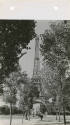 Black and white photograph of Eiffel tower framed by trees