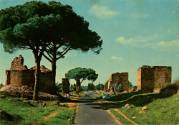Color postcard of a road with ruins and trees lining it