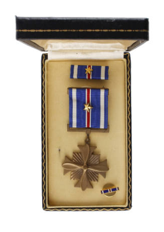 Open box with Distinguished Flying Cross medal, ribbon bar and lapel pin