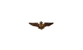 Miniature gold U.S. Naval Aviator pin with outstretched wings