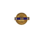 Gold lapel pin for Distinguished Flying Cross Medal with enamel blue, white and red stripes